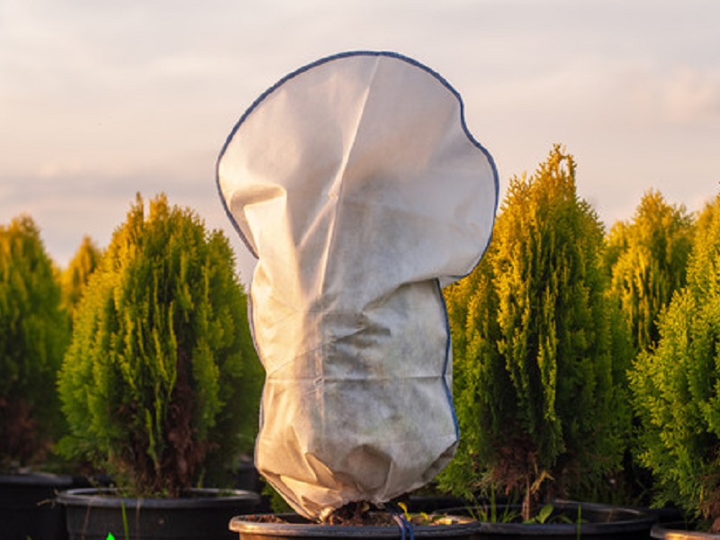 Чехол "Купол" со стопером для растений 100 x 60 x 38 см - Gardenlife